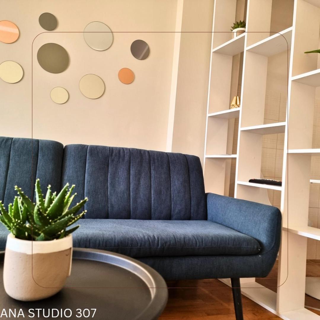 Ana Studio 307 Apartment Pristina Exterior photo