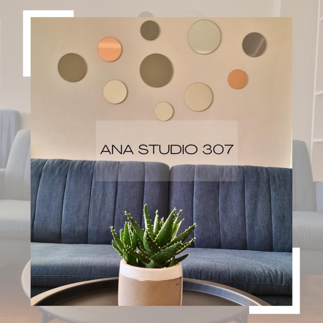 Ana Studio 307 Apartment Pristina Exterior photo